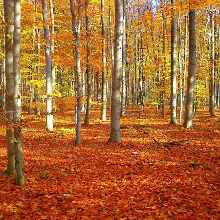 Prázdninový dům Paturages De La Kys *